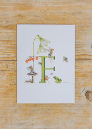 Wishing Well Letter Card F, Fairy
