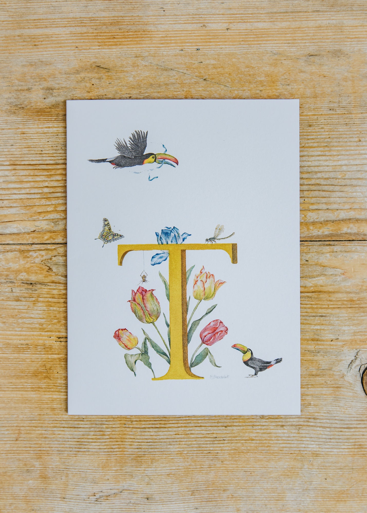 Letter Card T, Toucan