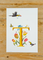 Wishing Well A4 Letter Print T, Toucan