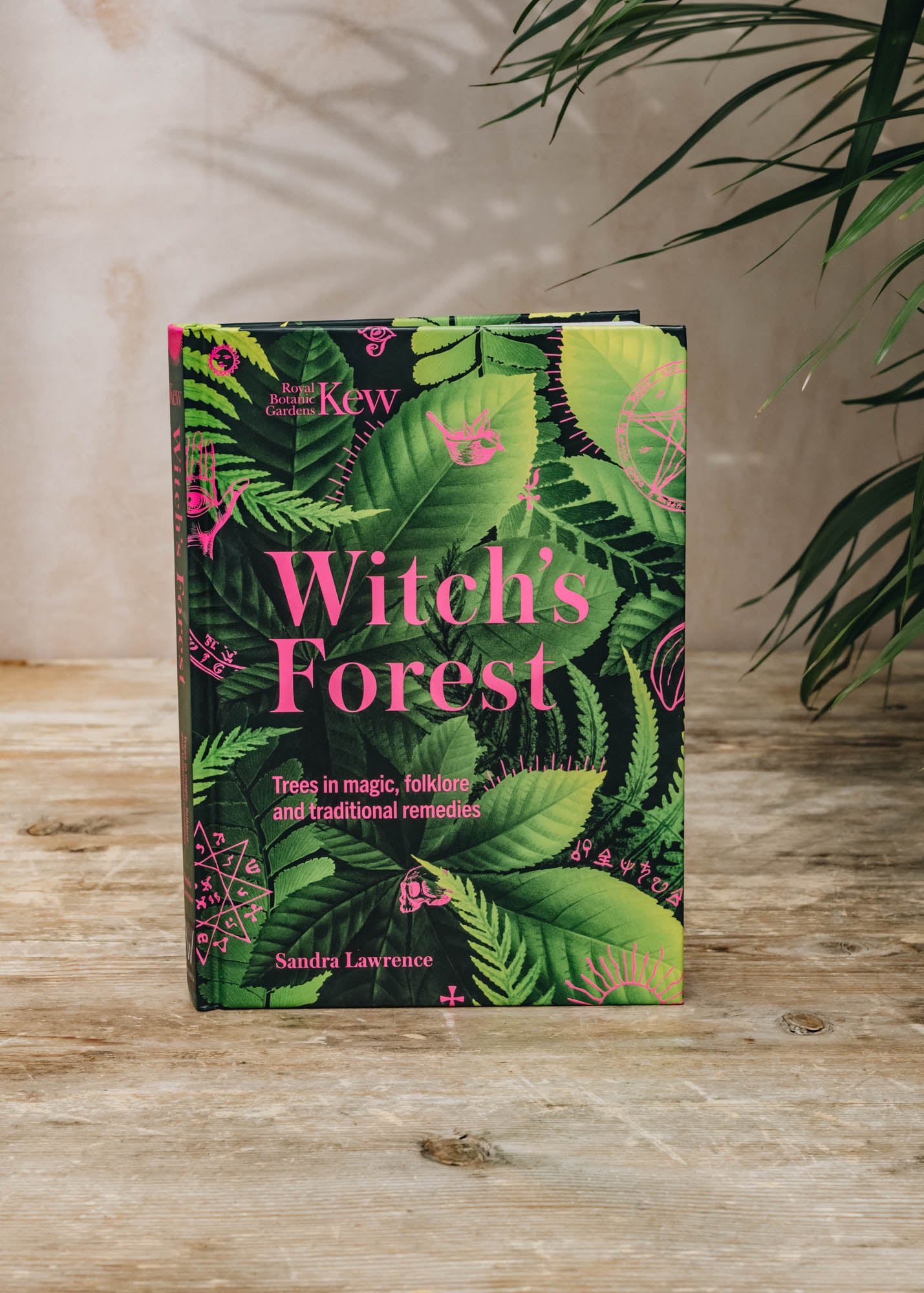 Witch's Forest: Plants in Magic, Folklore and Traditional Remedies