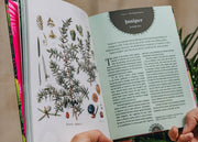 Nature Books Witch's Forest: Plants in Magic, Folklore and Traditional Remedies