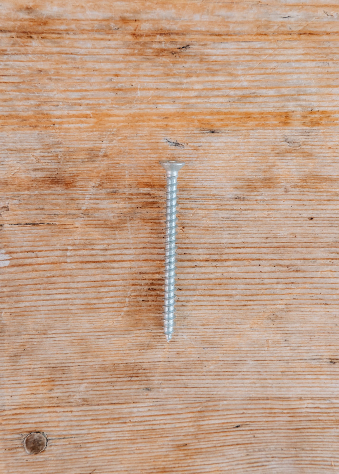 Tildenet Wood Screws, 65mm