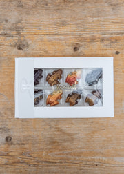 Tipsy Chocolate Frogs