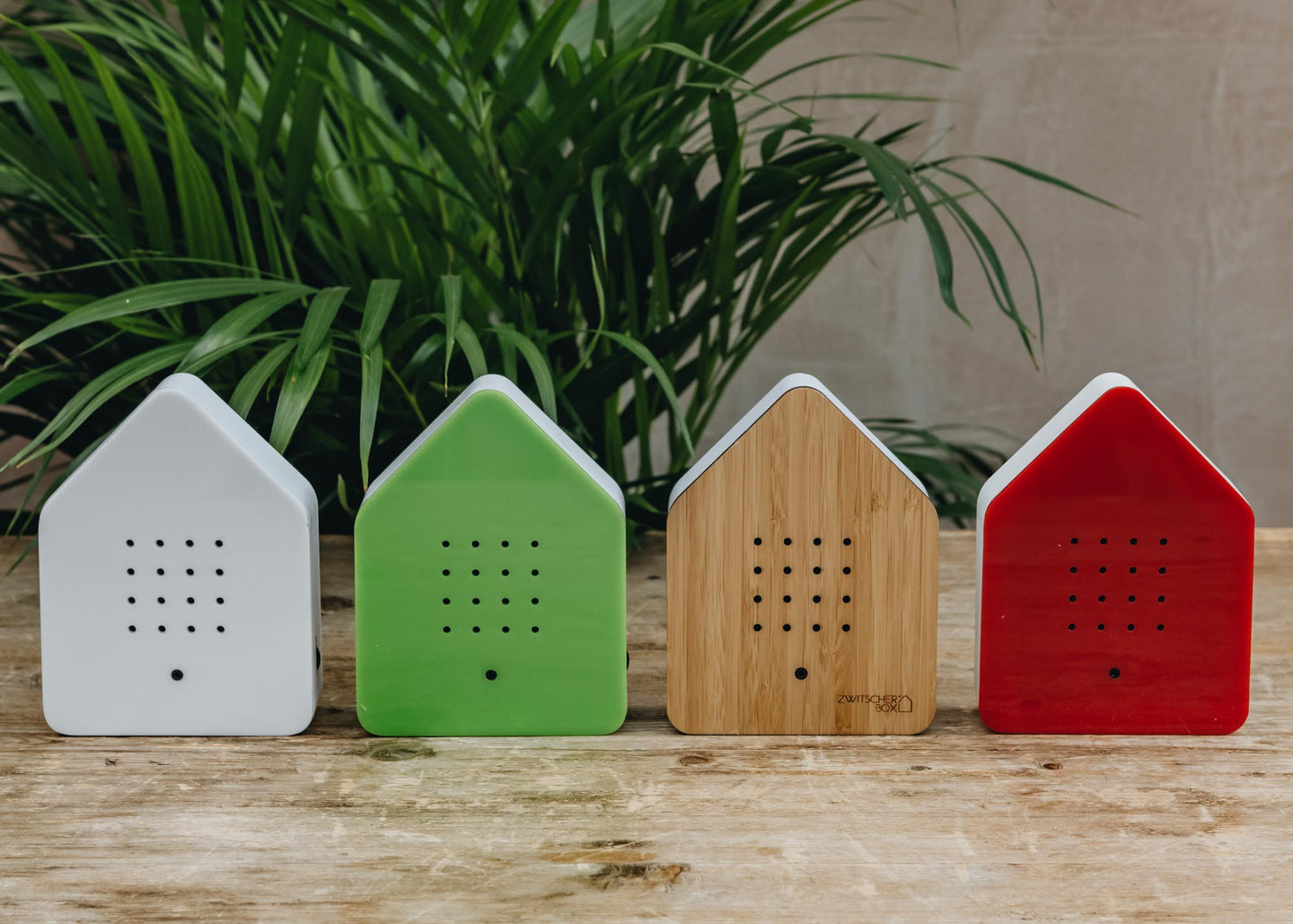 Bird Song Boxes