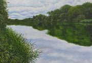 Burford Gallery The Emerald Serenity of Tockenham Reservoir