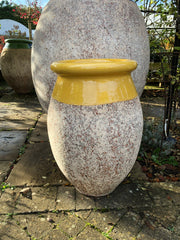 Olive Pots with Yellow Neck (70cm)