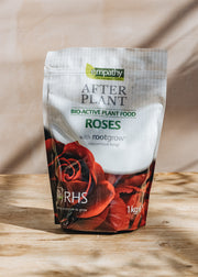 David Austin Roses Empathy After Plant, Rose Feed