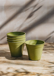 Sage Green Bamboo Nursery Pots, 5