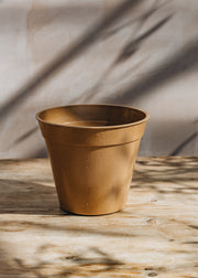 Terracotta Bamboo Nursery Pot, 8