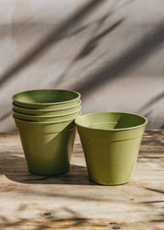 Sage Green Bamboo Nursery Pots, 6