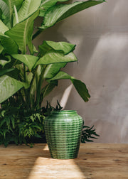 Emerald Willow Vases