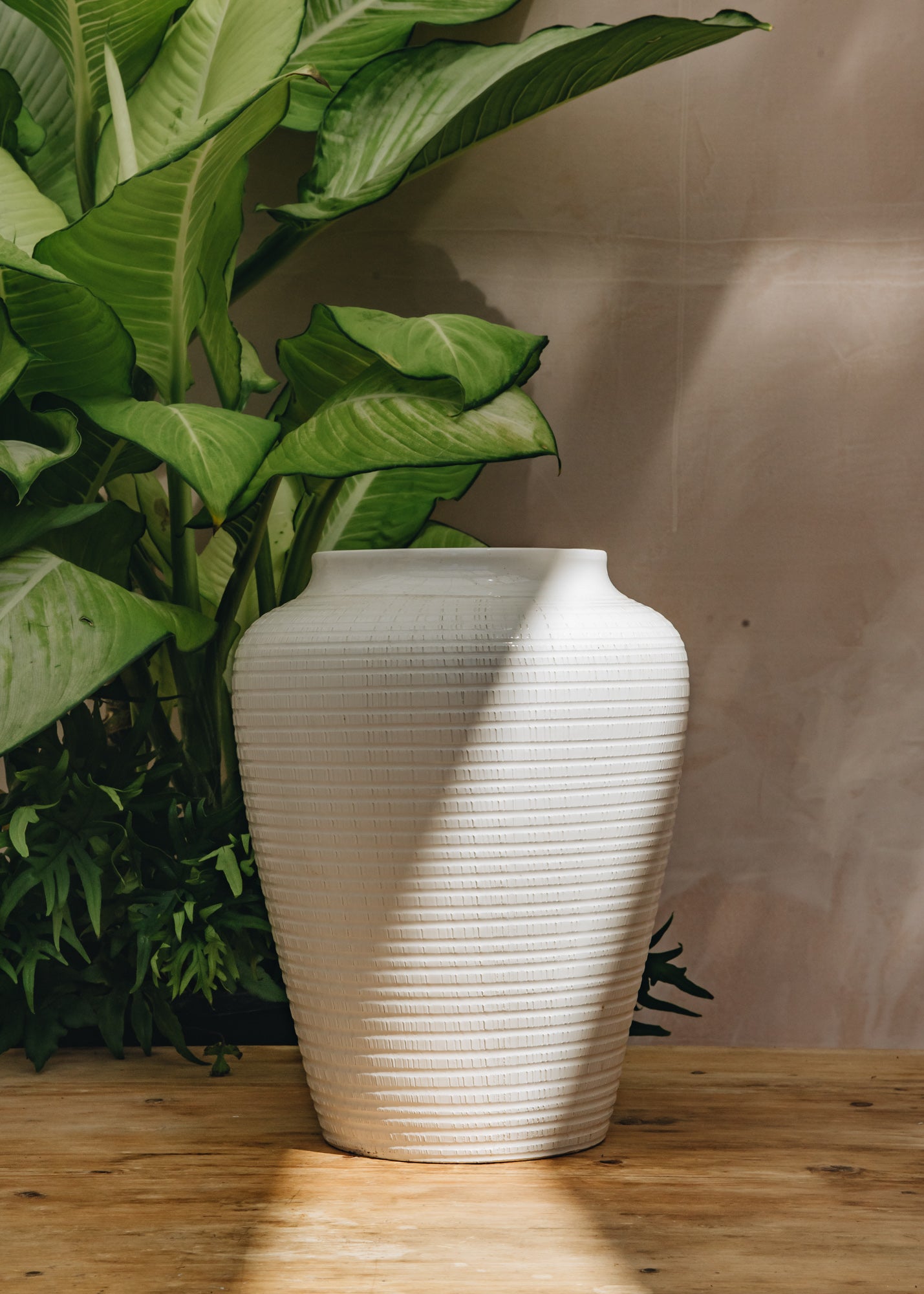 White Willow Vases