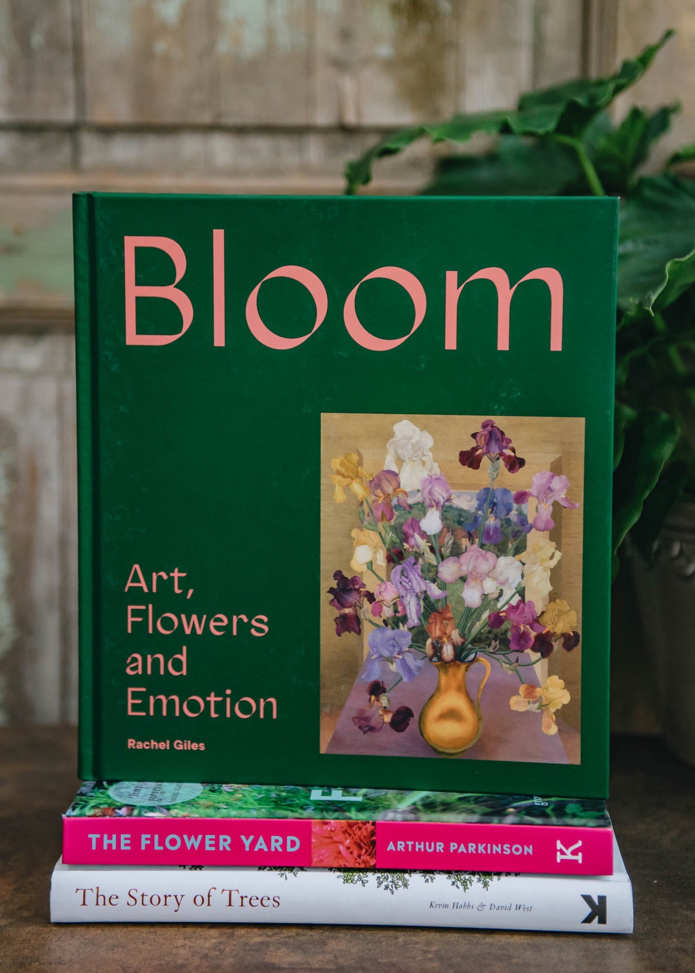 Bloom