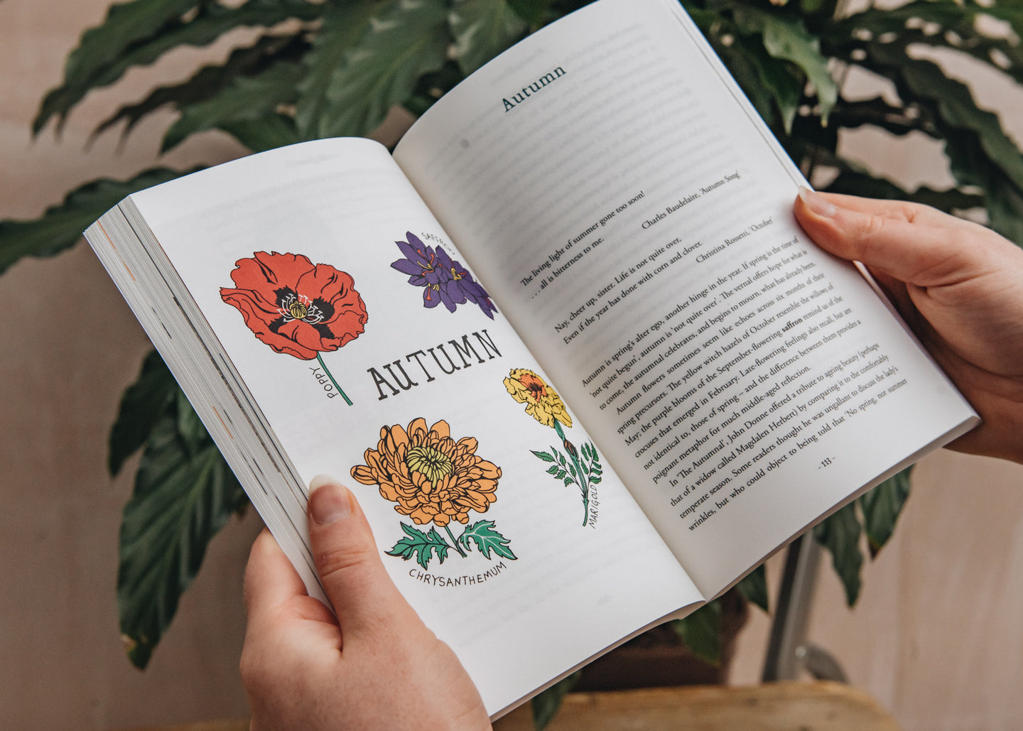 Garden and Plants Books Blooming Flowers