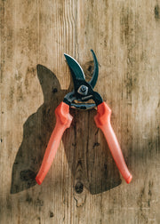 Corona Bypass Action Secateurs with Gel Grip Handle