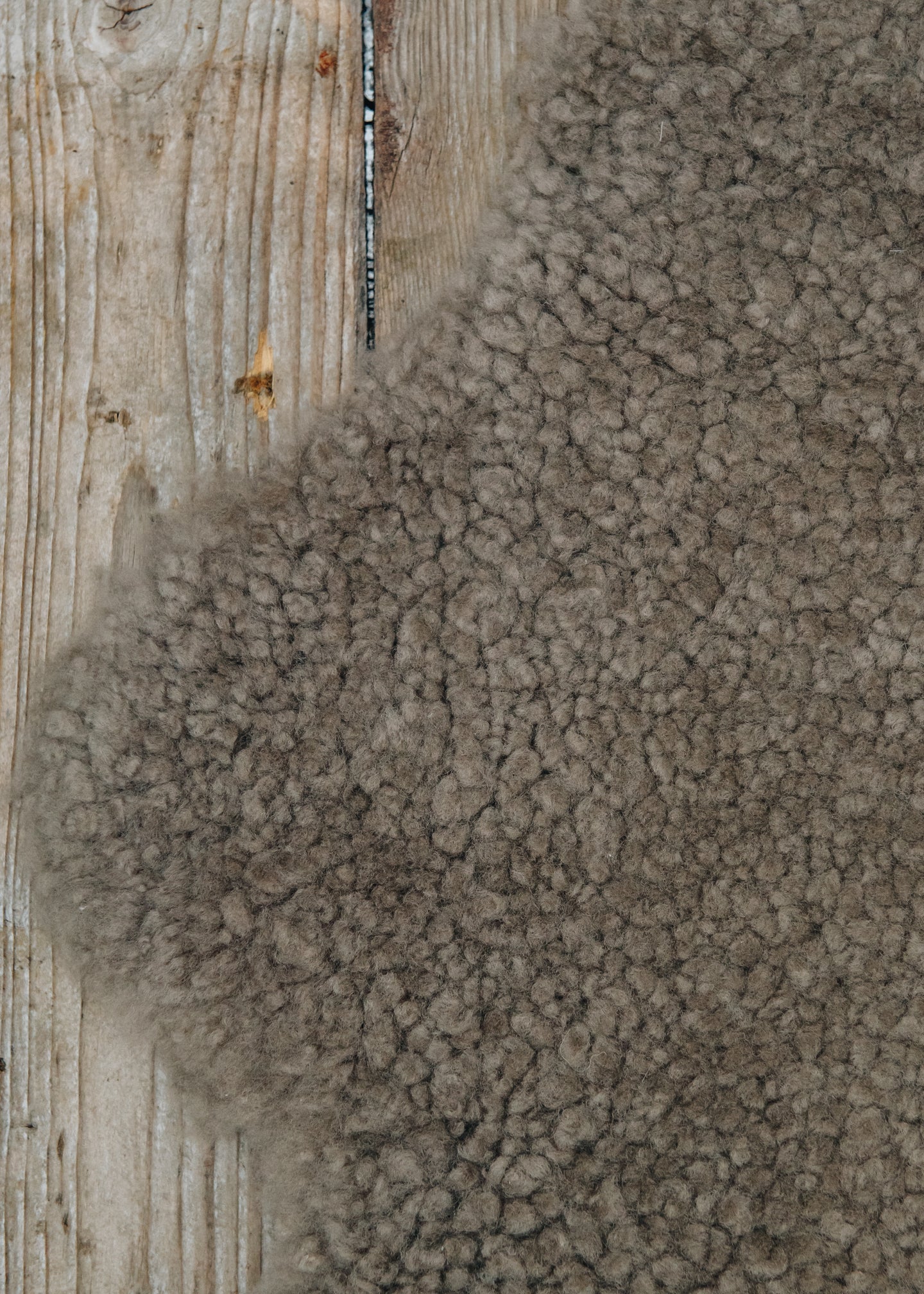 Shepherd of Sweden Shepherd of Sweden Cappuccino Ella Short Haired Sheepskin Rug