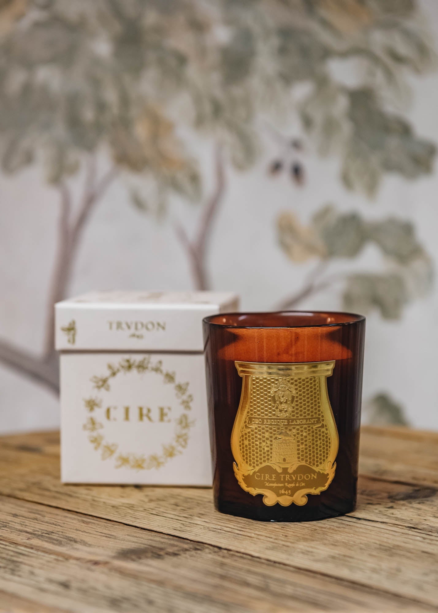 Cire Trudon Cire Scented Candle Burford Garden Co.