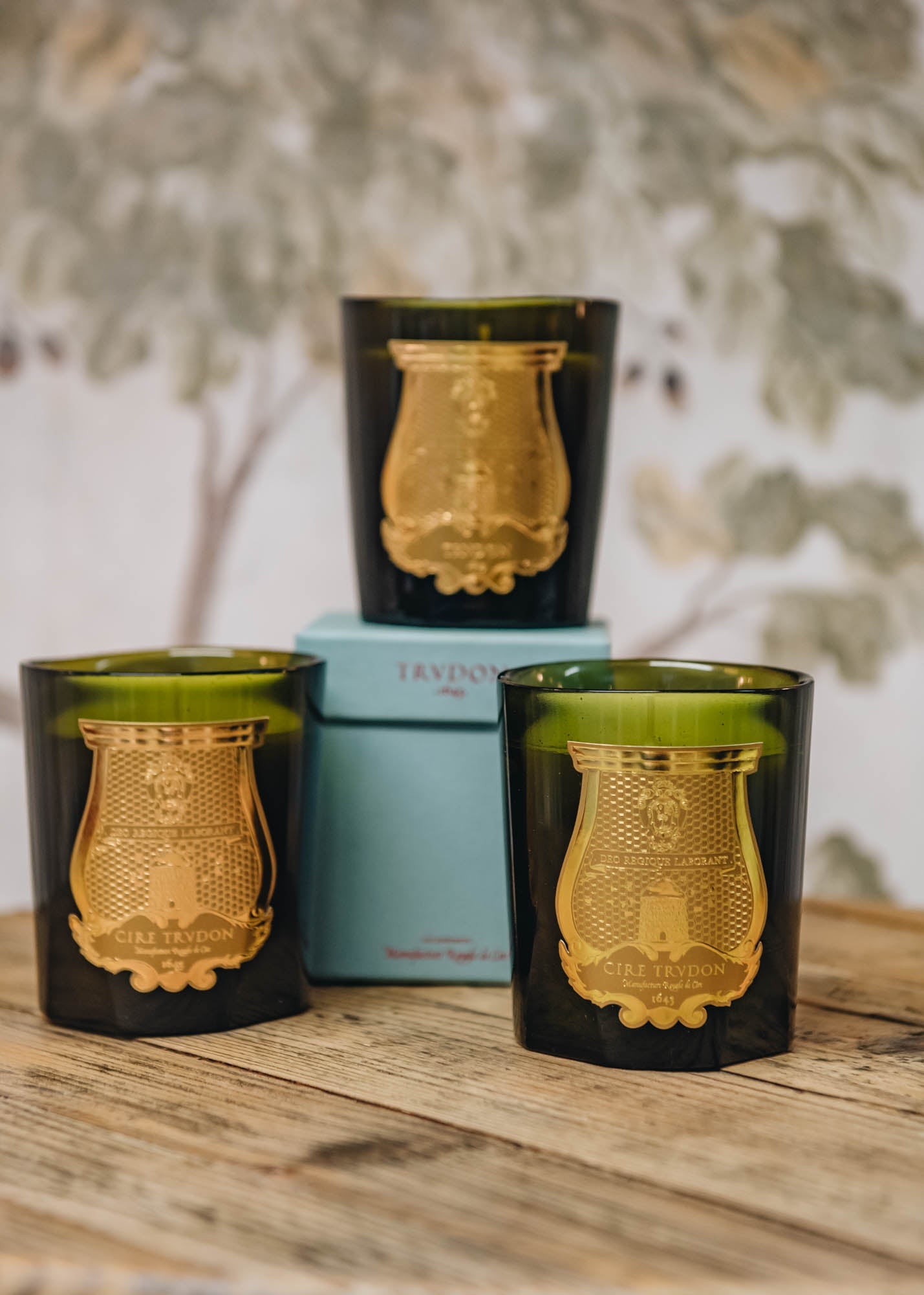 Cire Trudon Classic Scented Candles Home Fragrance Burford Garden Co.