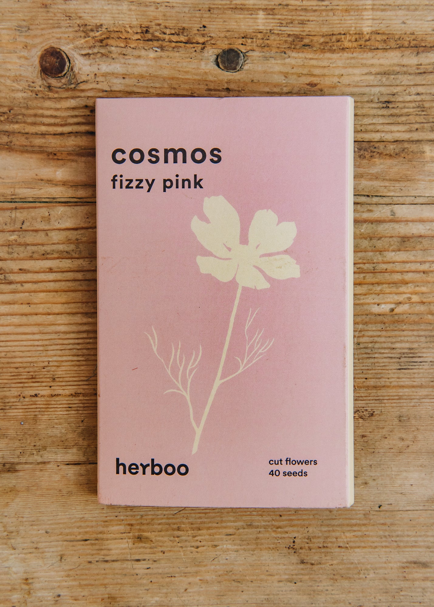 Cosmos Fizzy Pink Seeds