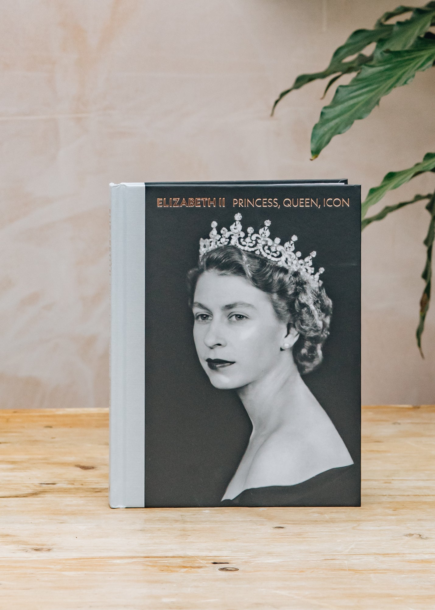 Elizabeth II: Princess, Queen, Icon