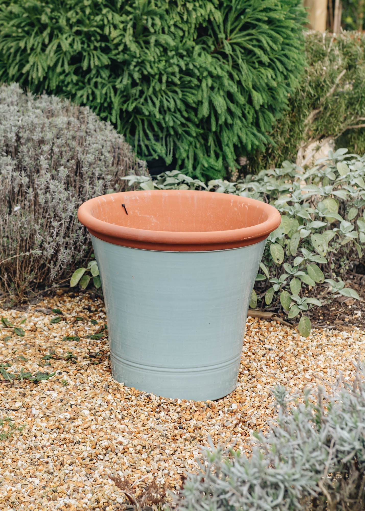 Extra Large Kitchen Planters