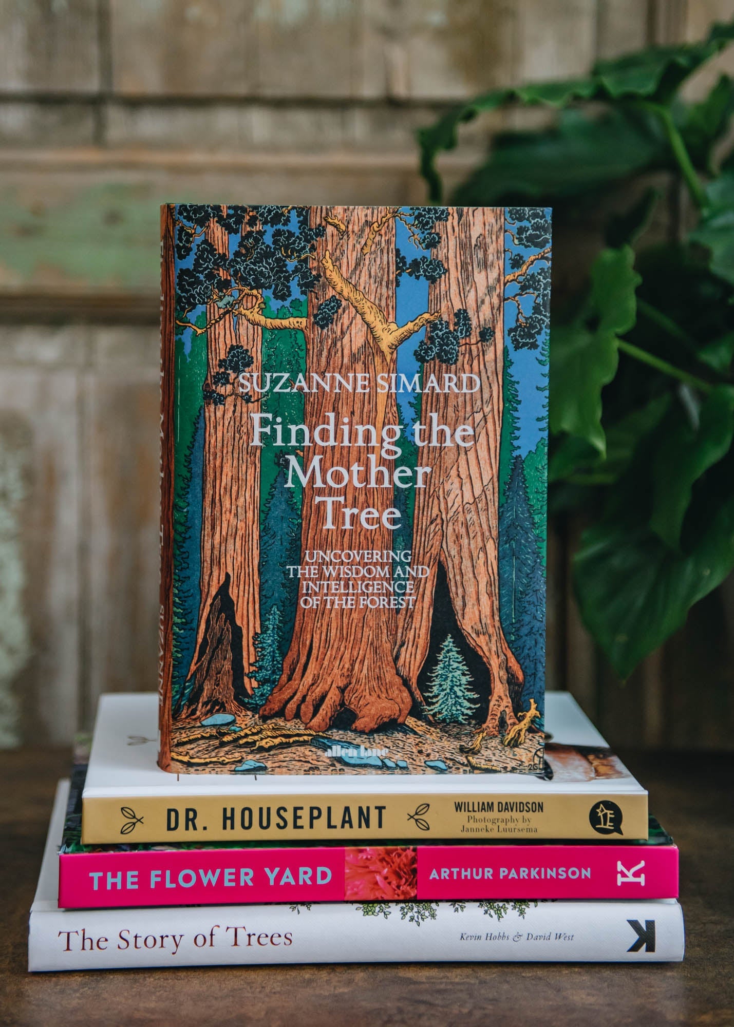 Finding the Mother Tree