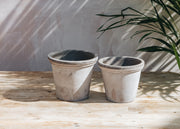 Bergs Potter Flora Grey Pots