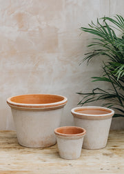 Bergs Potter Flora Rosa Pots