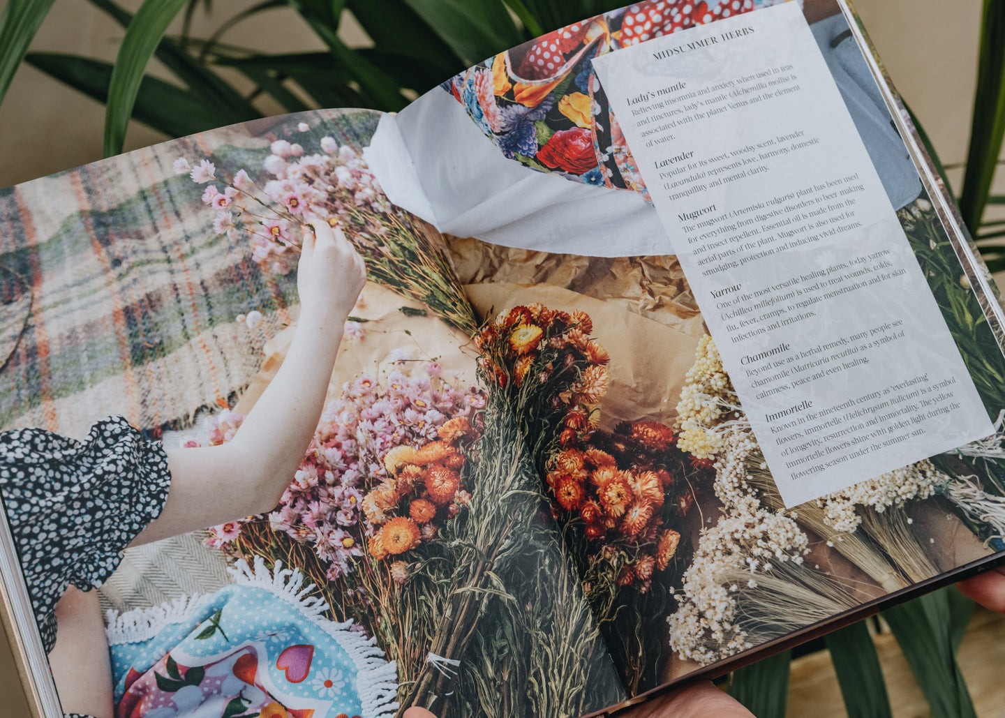 Garden and Plants Books Flower Philosophy