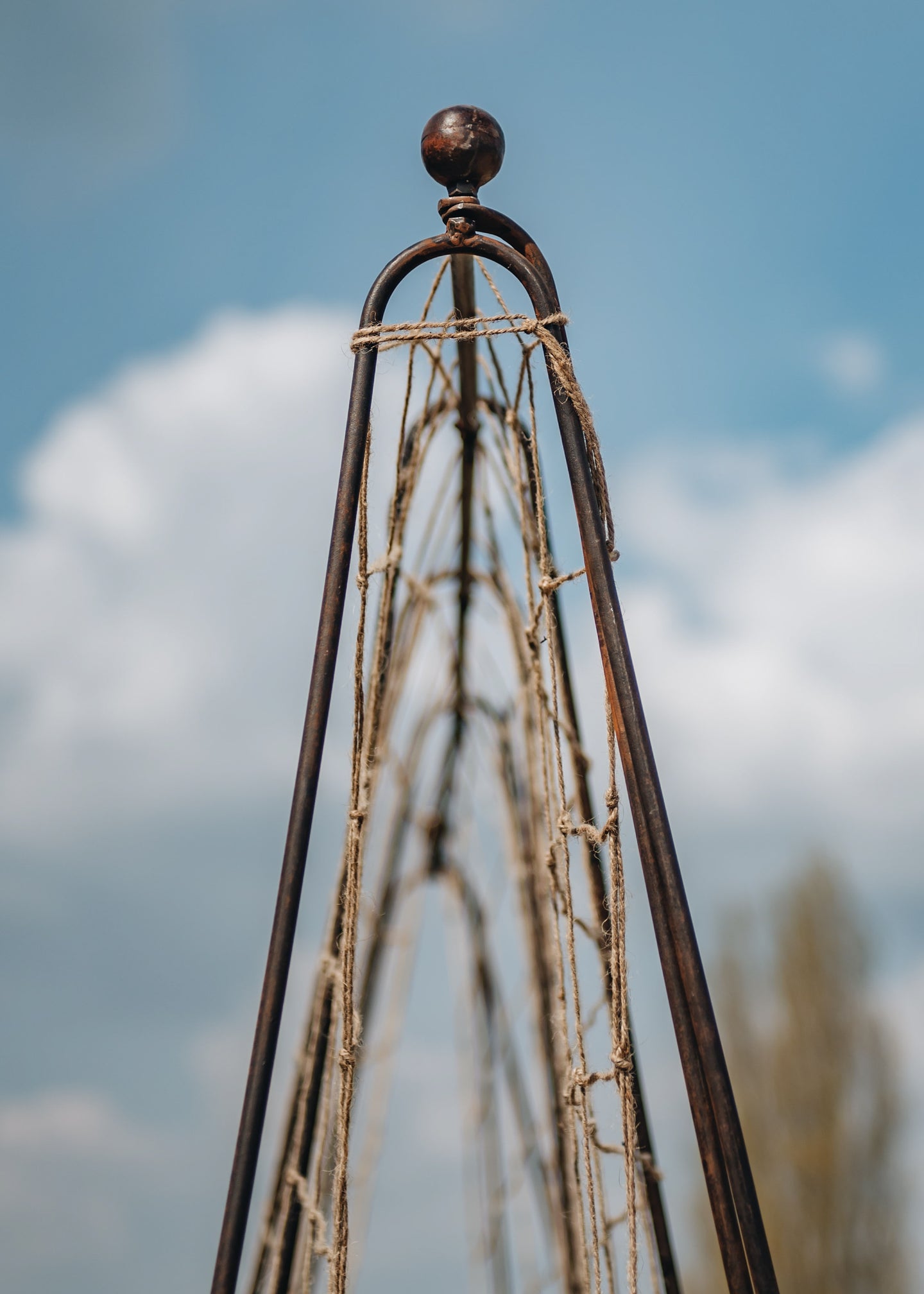Kadai Runner Bean Frame