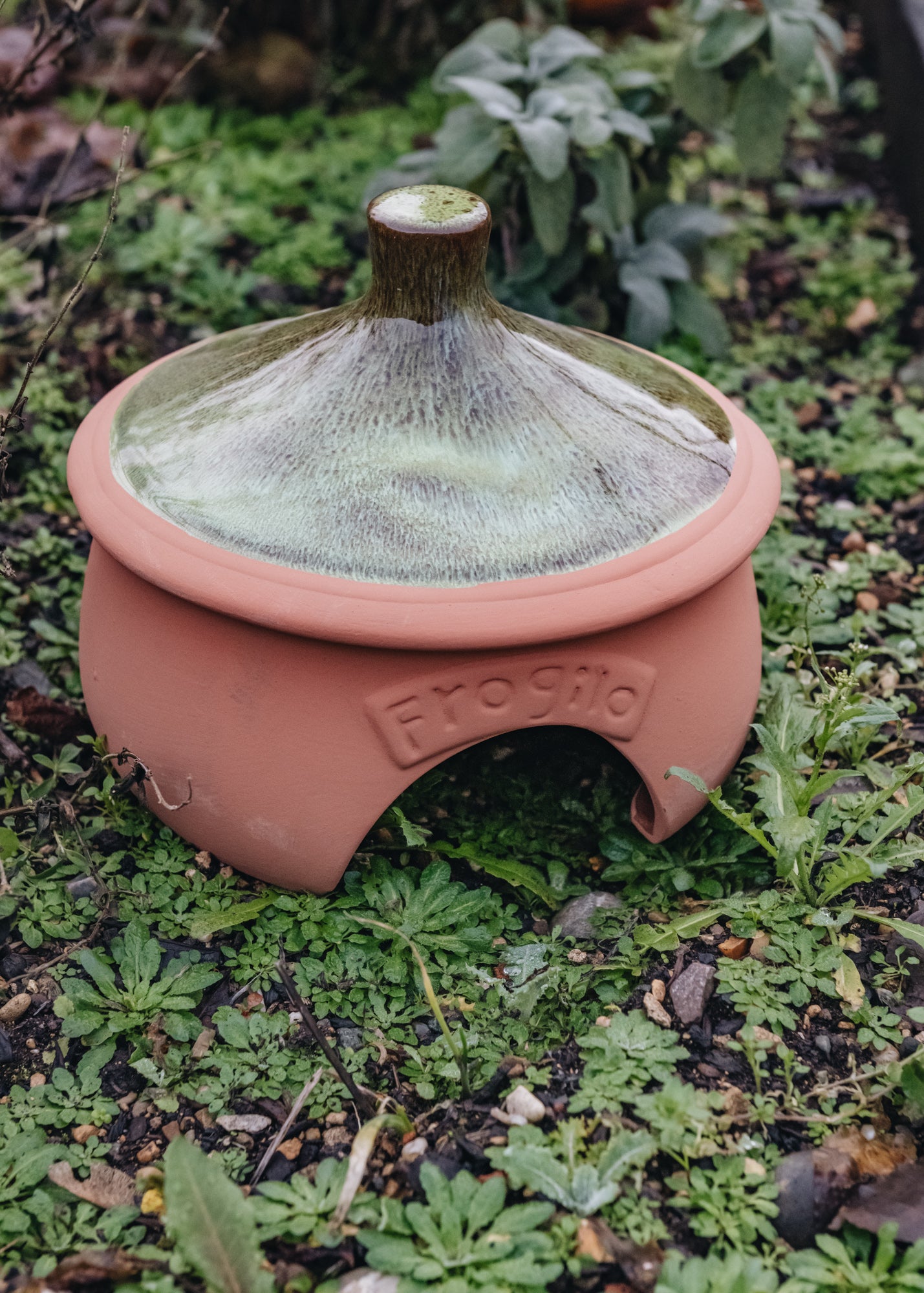Frog and Toad Home