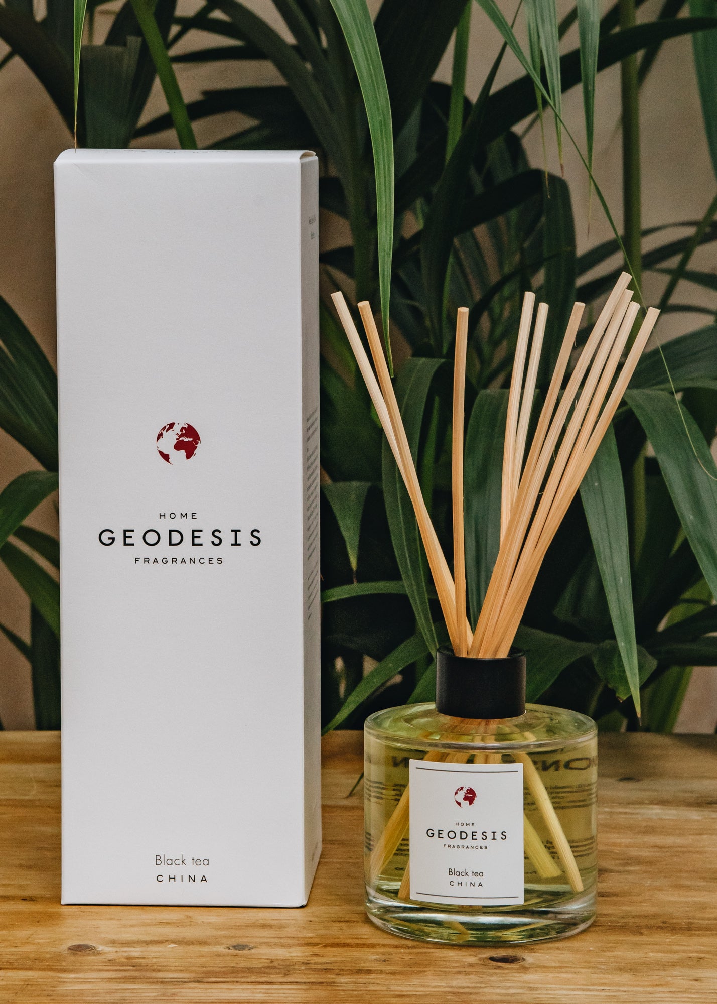 Geodesis Ambience Diffuser