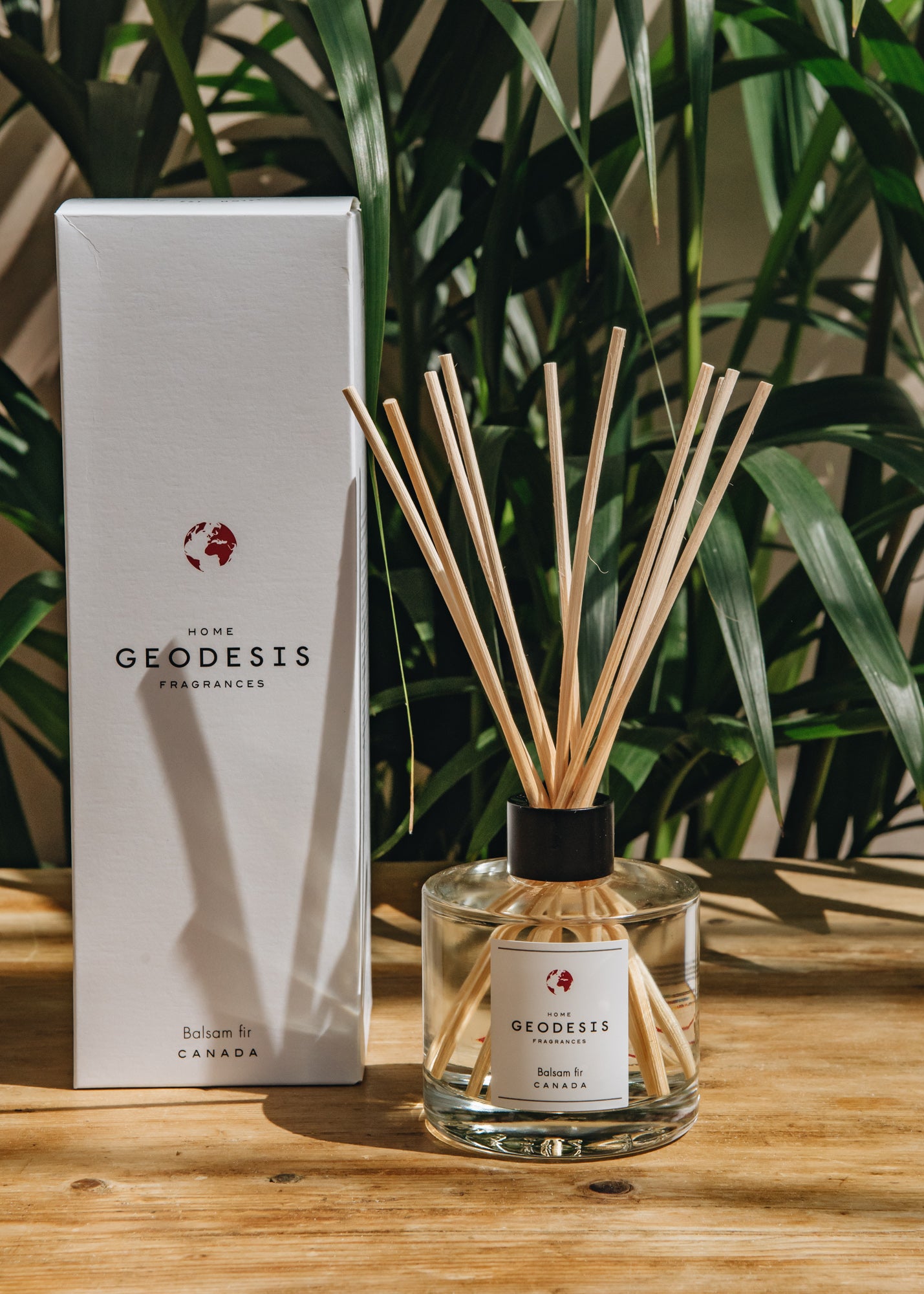 Geodesis Ambience Diffuser