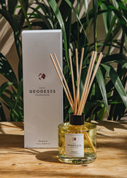 Geodesis Ambience Diffuser