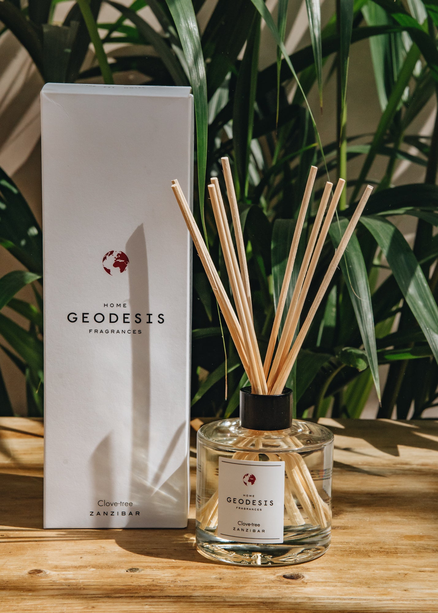 Geodesis Ambience Diffuser