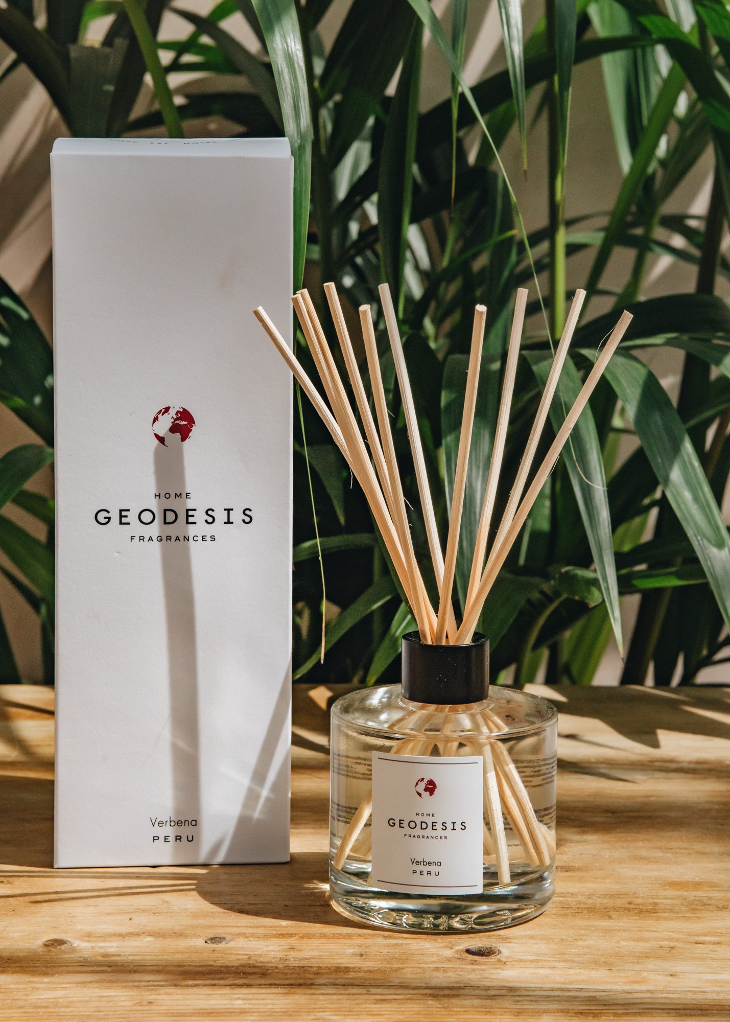 Geodesis Ambience Diffuser