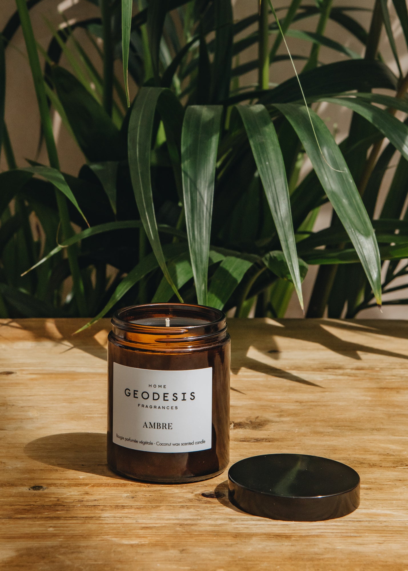 Geodesis Geodesis Scented Candle 150g