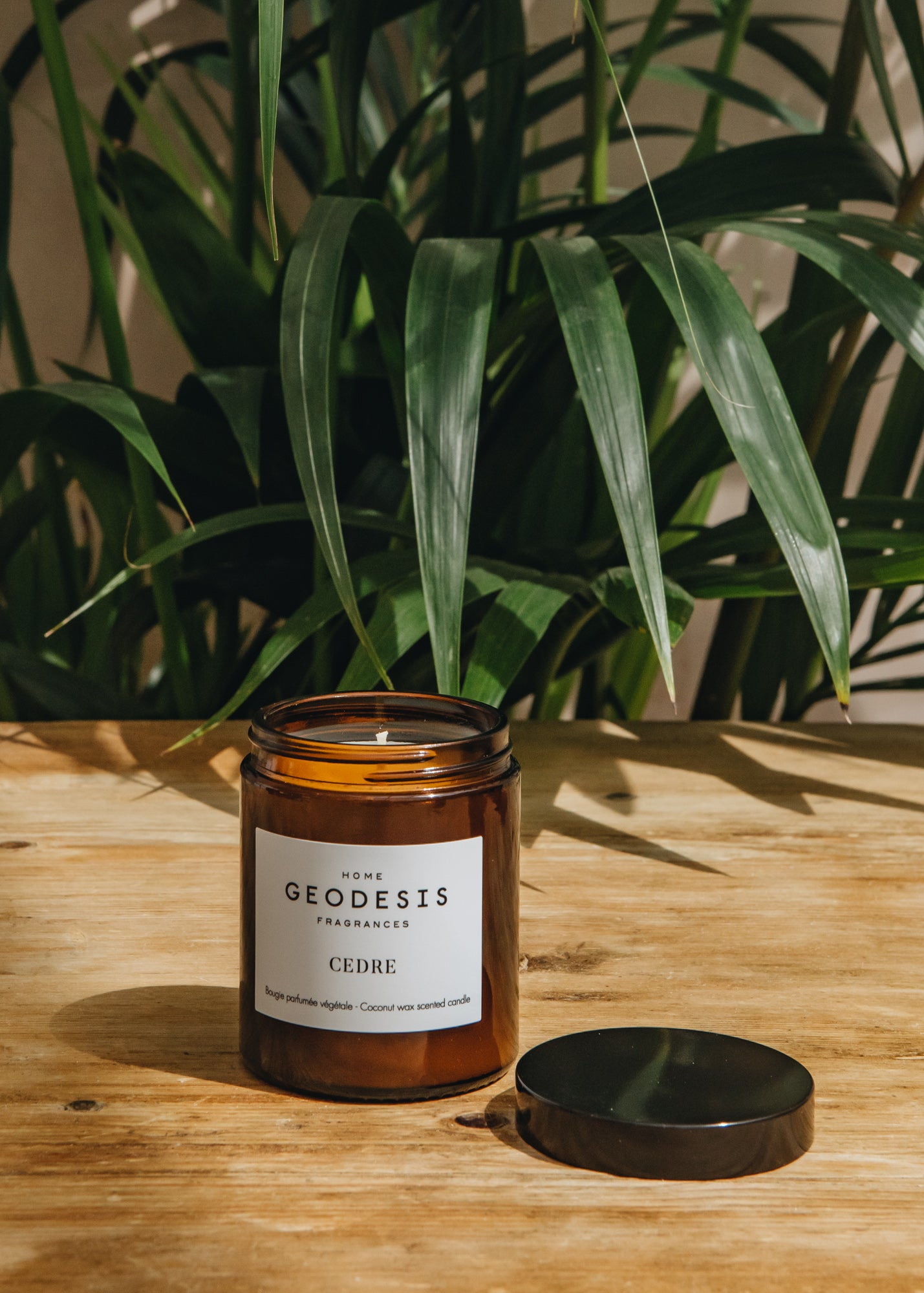 Geodesis Geodesis Scented Candle 150g