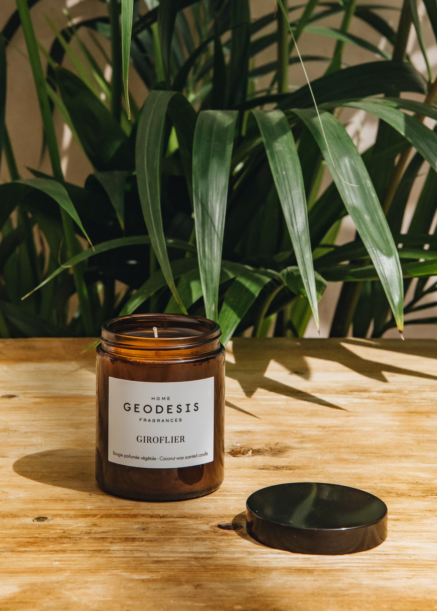 Geodesis Geodesis Scented Candle 150g