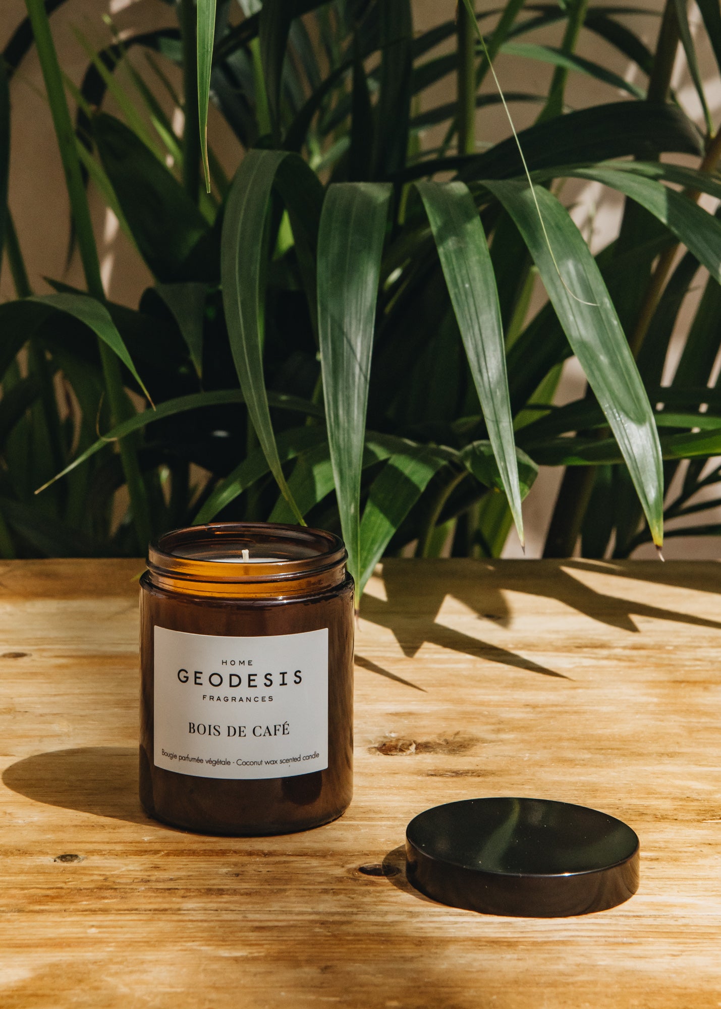 Geodesis Geodesis Scented Candle 150g