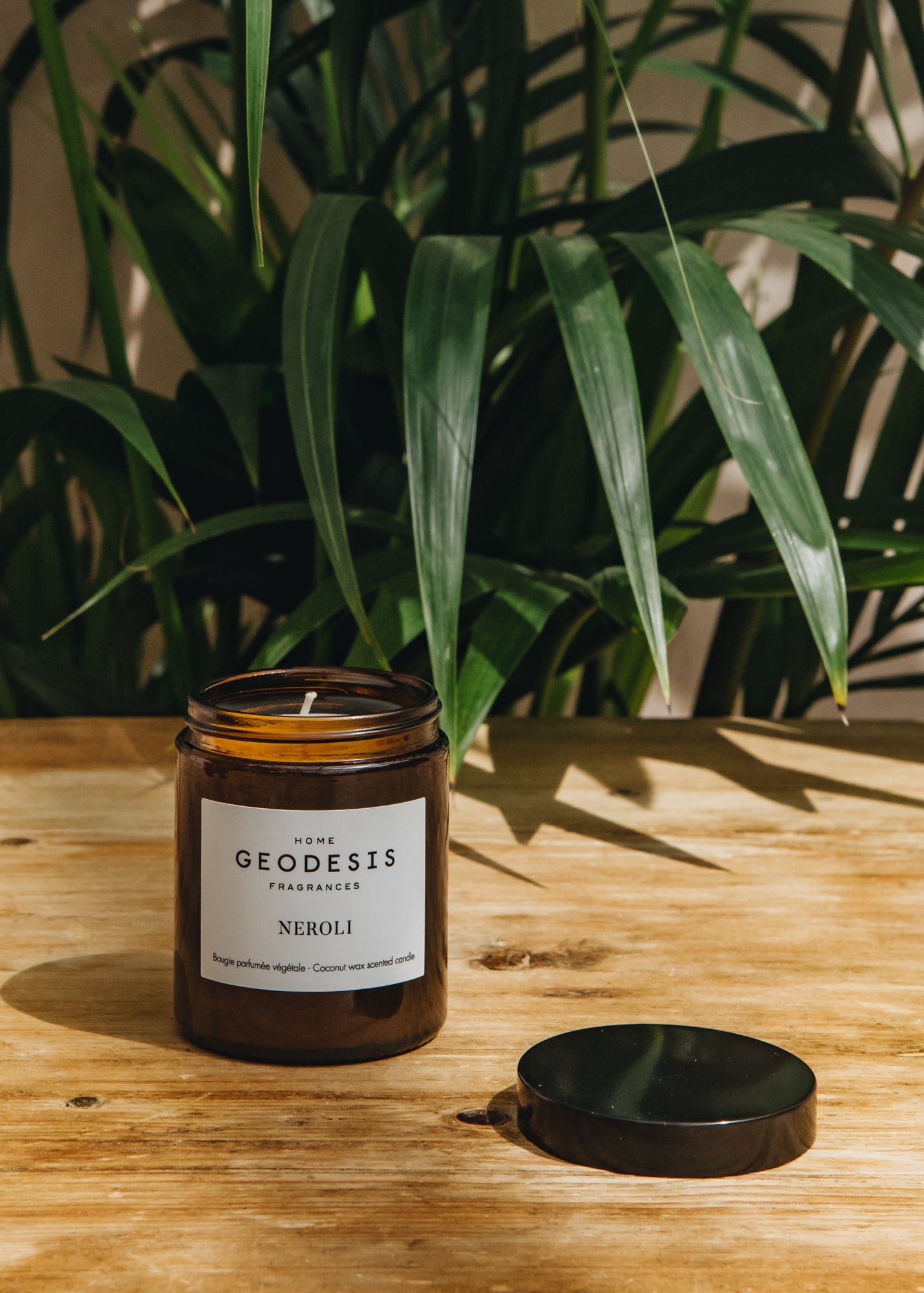 Geodesis Geodesis Scented Candle 150g