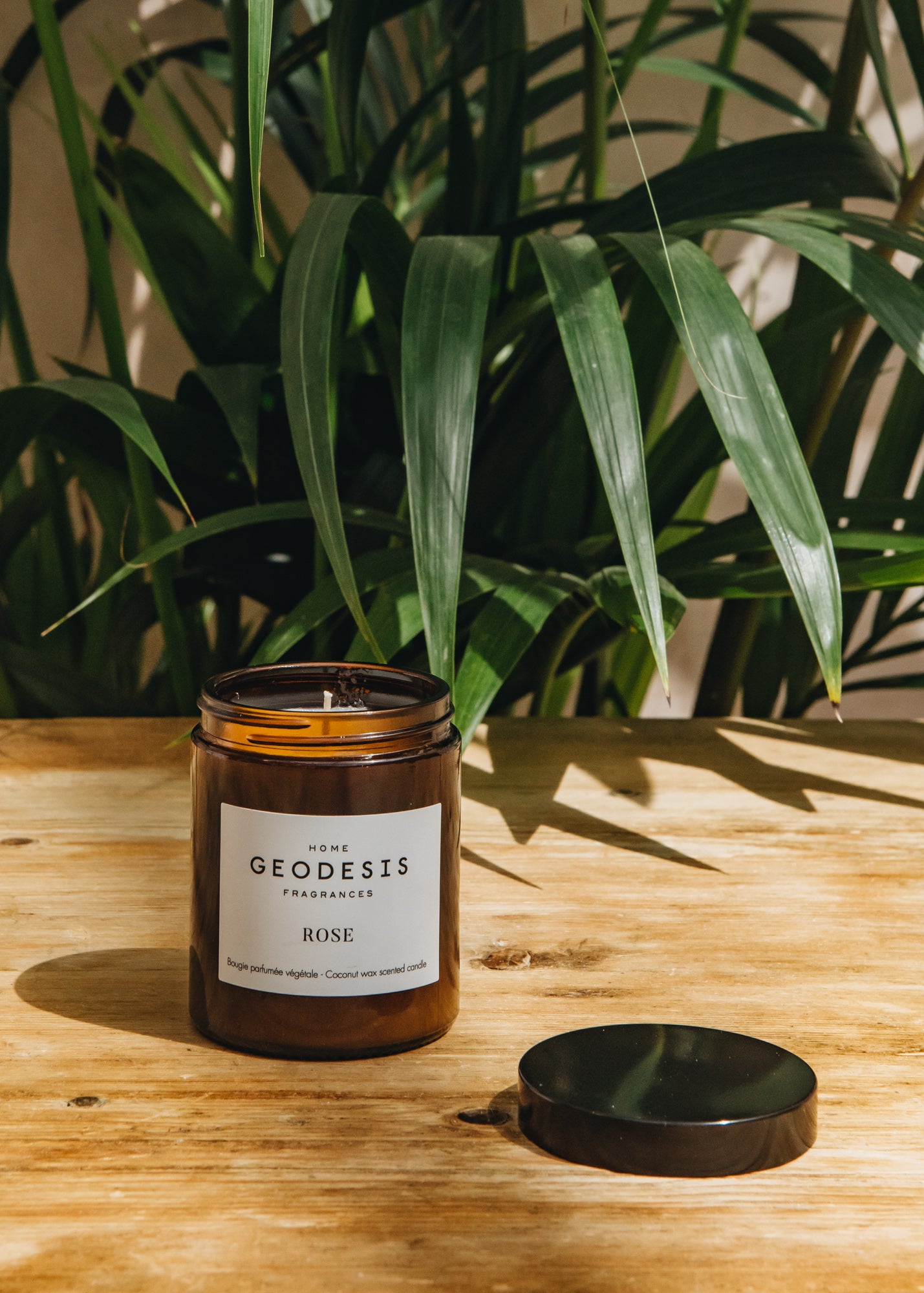 Geodesis Geodesis Scented Candle 150g