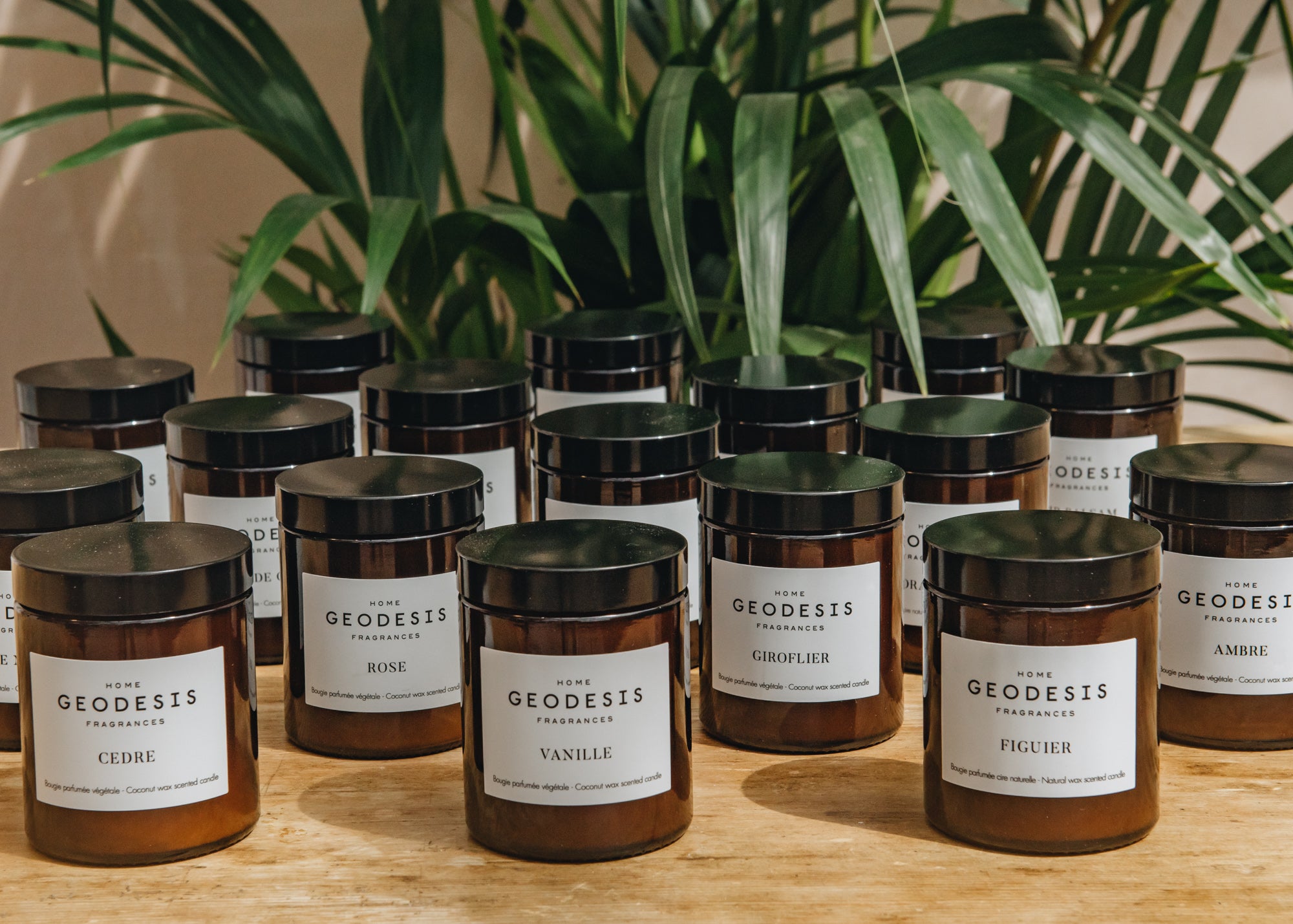 Geodesis Scented Candles 150g Home Fragrance Burford Garden Co.