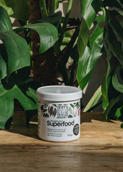 Houseplant Superfood