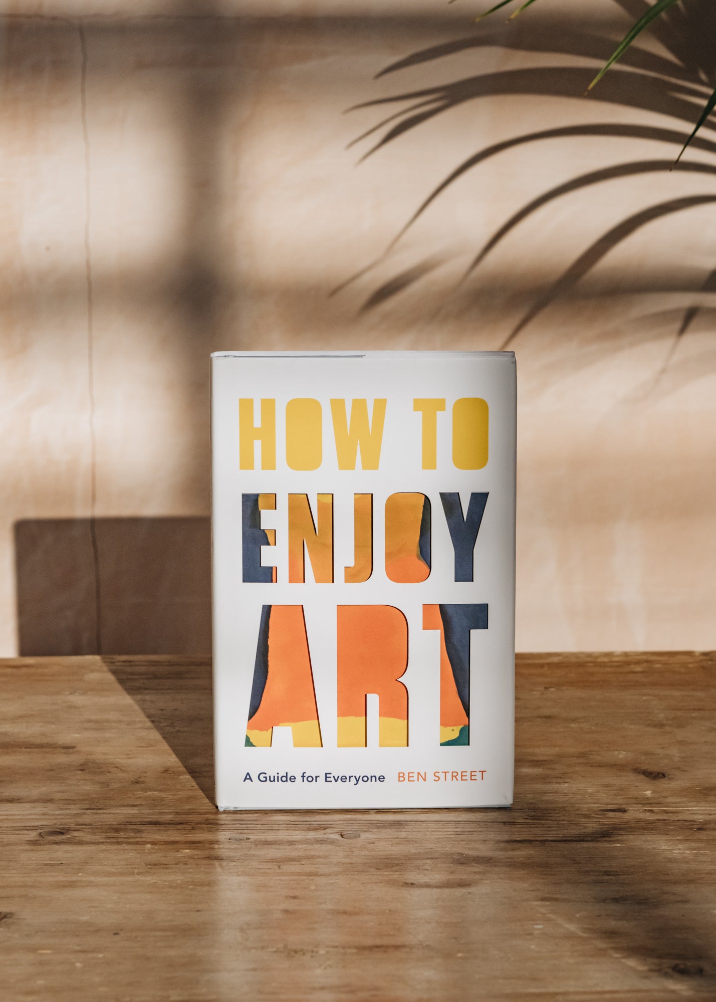 How to Enjoy Art Book