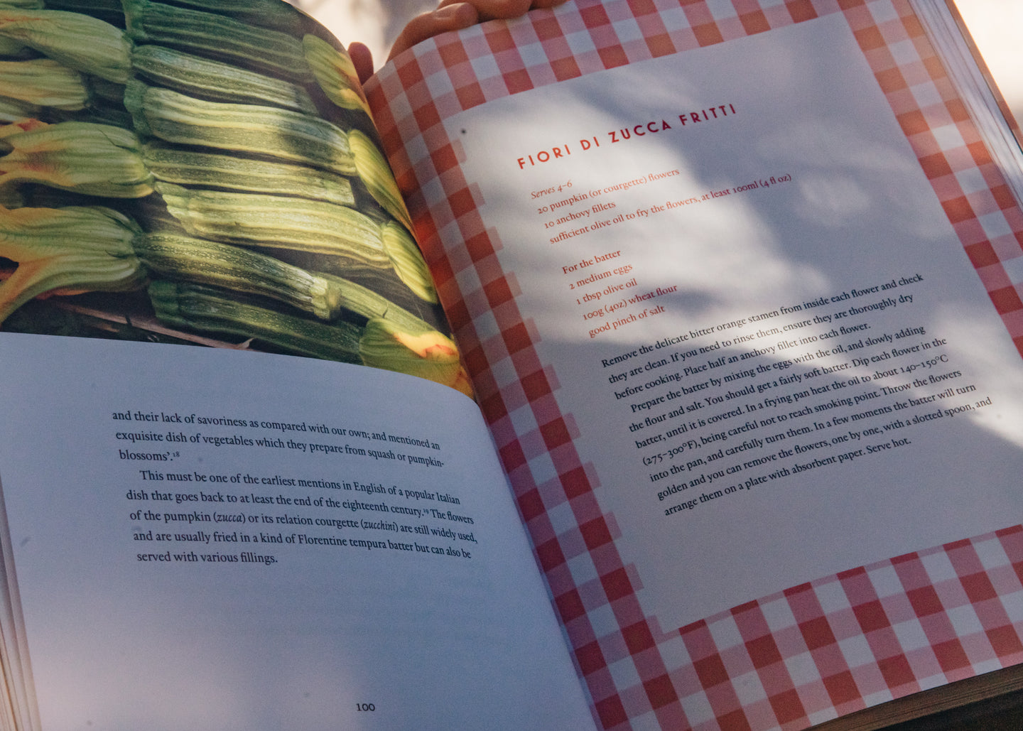 Cooking and Food Books How we fell in love with: Italian Food