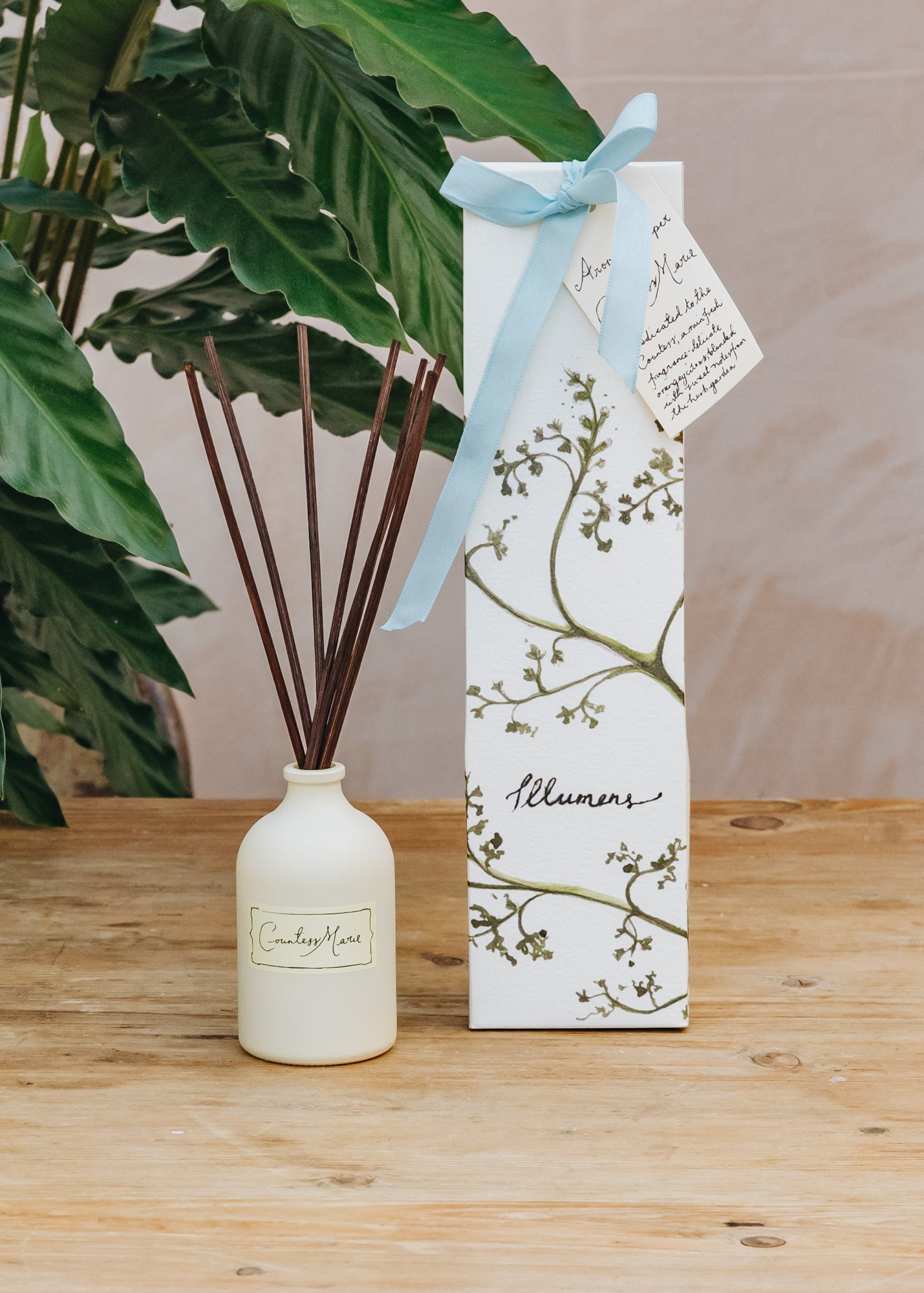 Illumens Illumens Diffuser