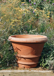 Large Terracotta Imprinetino Outdoor Plant Pots