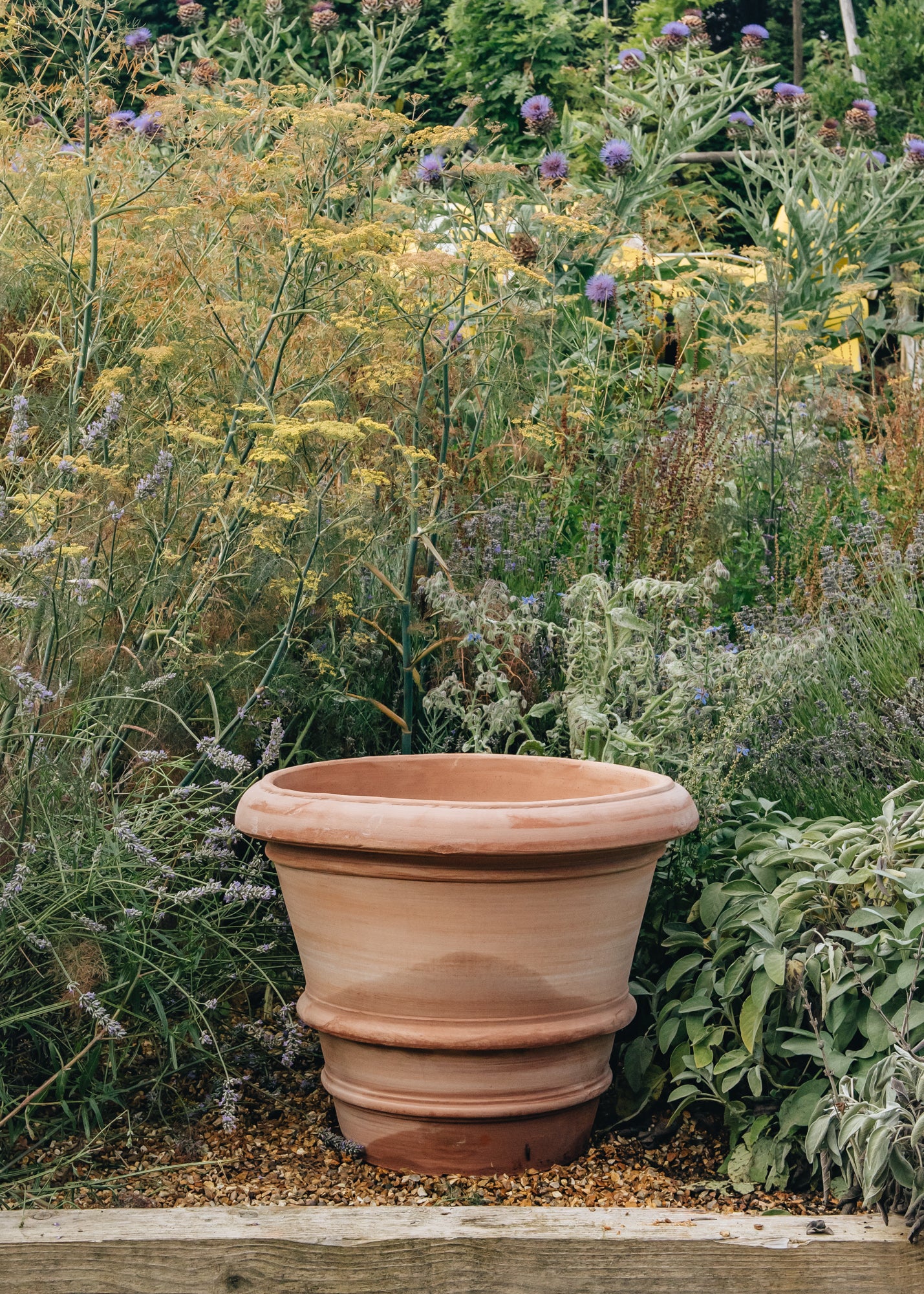 Large Terracotta pots