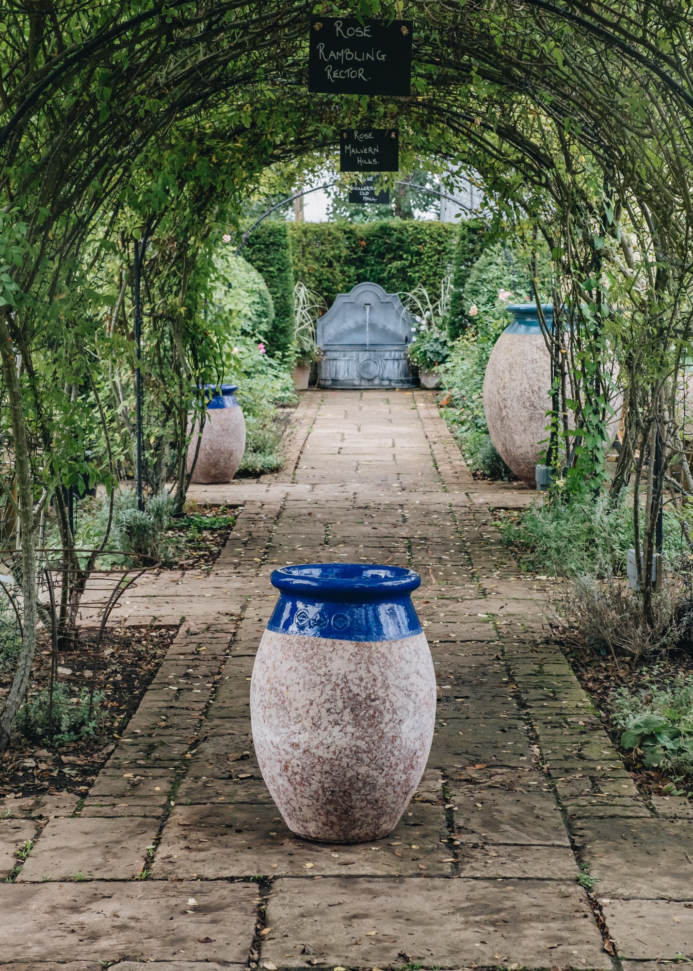 Olive Pots with Lapis Lazuli Neck (70cm)